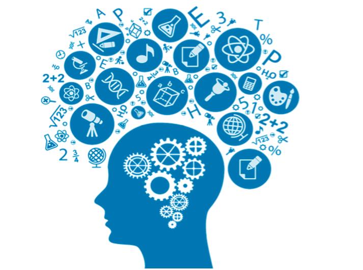 七年级孩子不喜欢历史怎么办,孩子不喜欢副科怎么办