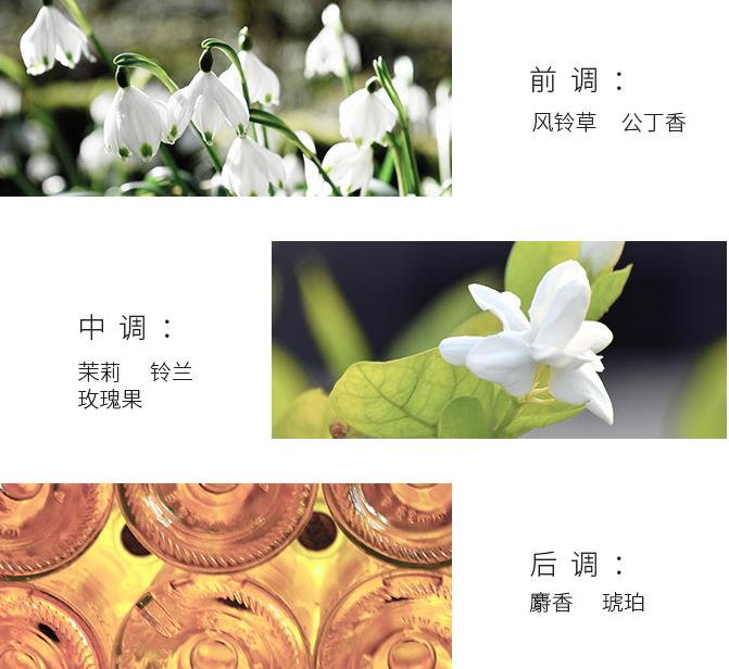 香水解决问题,香水深度解析