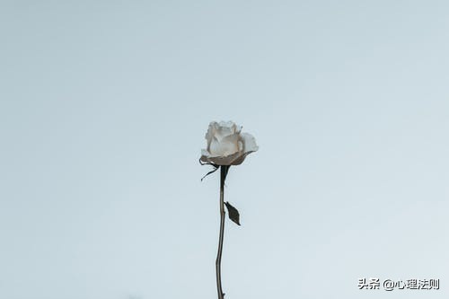 内心抑郁压抑怎么缓解,抑郁压力大怎么缓解