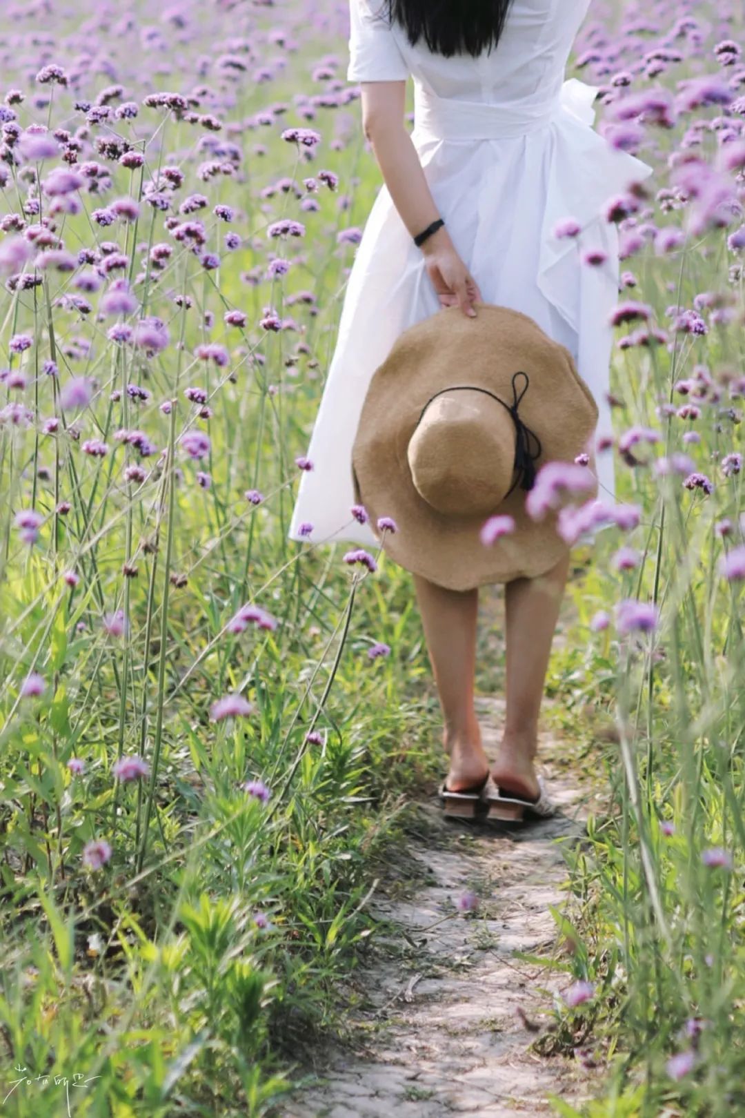 娌欏娴滅殑绱壊鑺辨捣,娌欏娴滈鏅尯鑺辨捣