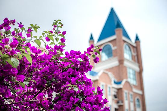 新川外国语学校建校时间,新川外国语学校2021年