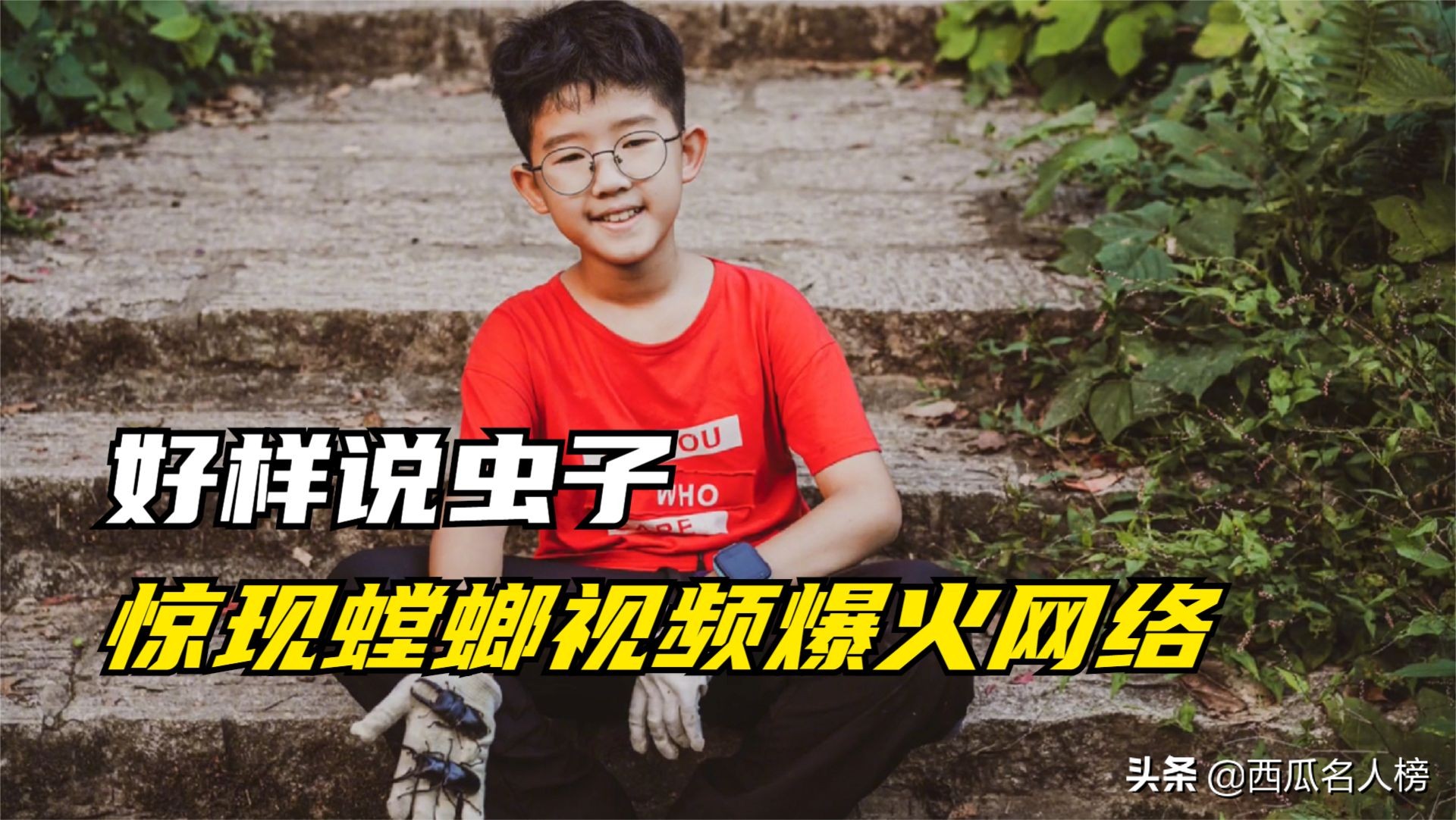 好样说虫子:惊现螳螂爆红,同学眼中“小怪人”,行走的百科全书