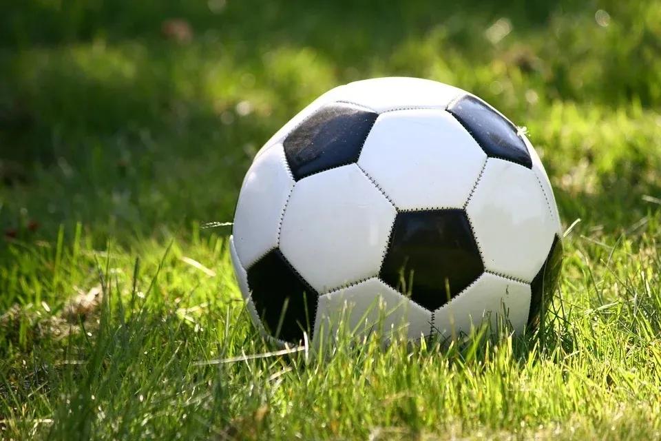 运动营养补充有哪些,运动营养配比