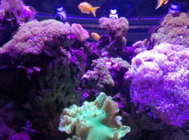 郑州情侣十大必去之地排行榜,郑州白天哪里好玩适合情侣的