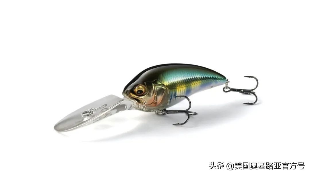 2021年春季渔具展会,2021昆明渔具展时间表