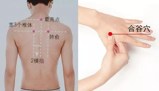穴位按摩祛病全集，身体出什么问题按什么穴，一篇全搞定！快收藏