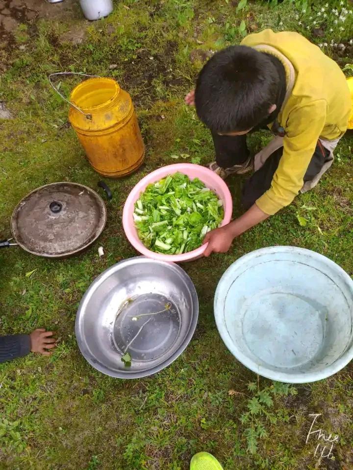 大学生去西藏支教的真实感受,真实的藏区支教