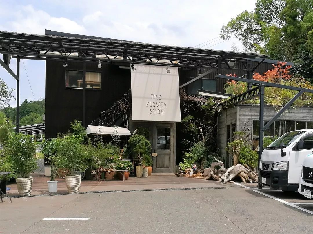 日本花店探店,日本花店攻略