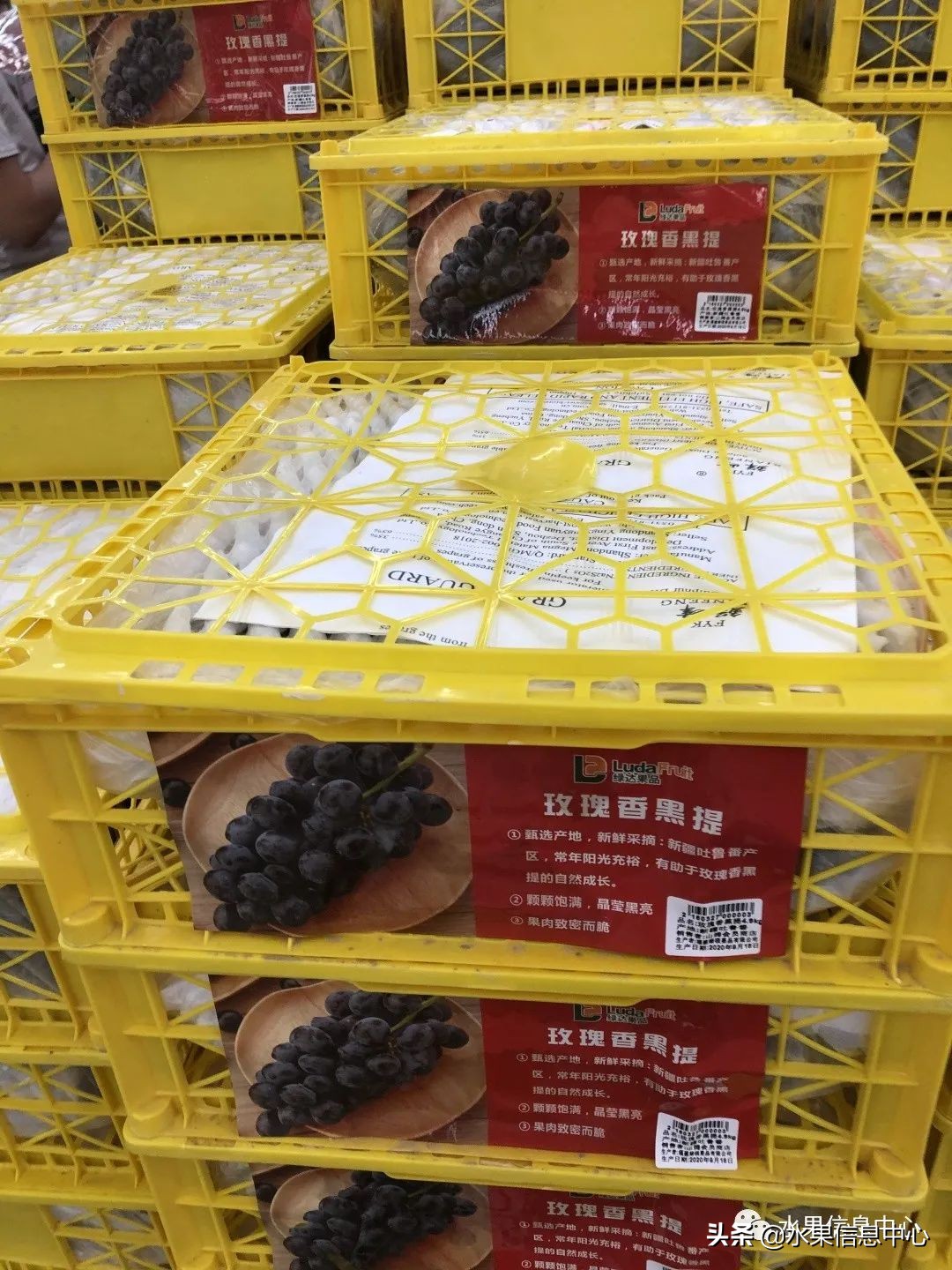 中秋节前，走访两家水果零售店，水果标准化在这里体现的淋漓尽致