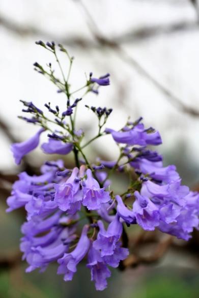 行走烟台市,行走烟台山