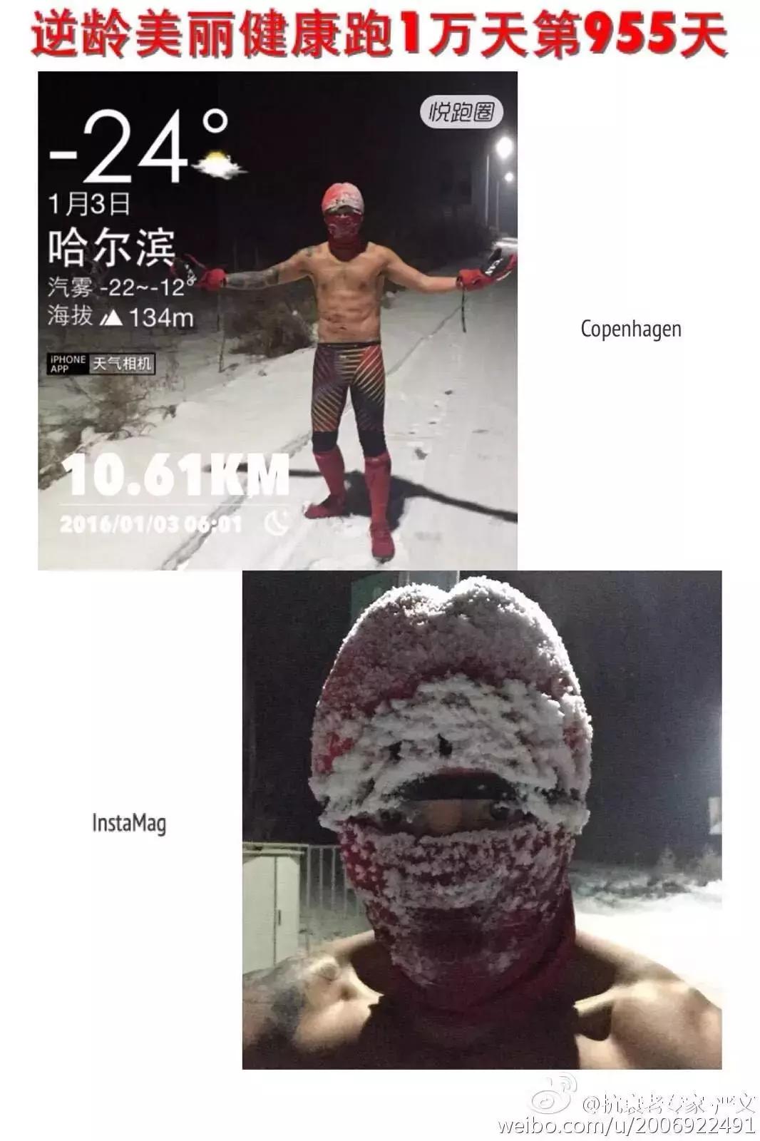 纵有疾风起人生不言弃原文,纵有疾风起人生不言弃莫忘来时路