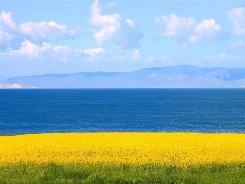 重温刀郎西海情歌,盘点刀郎西海情歌
