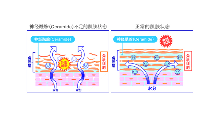 干皮抗老如何进阶手把手教你搭配,干皮怎么抗老