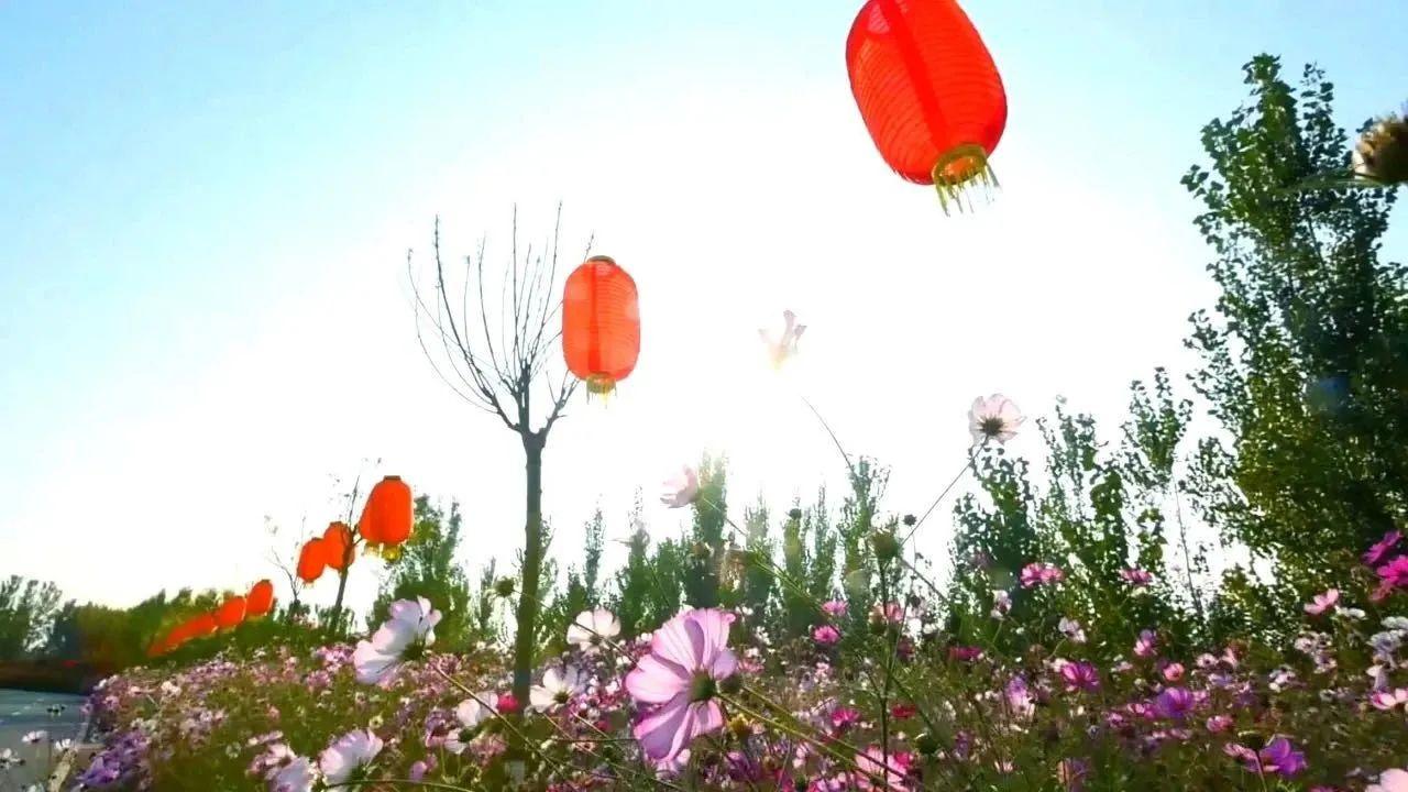 有空吗？运河边上这个地方可以洗个肺