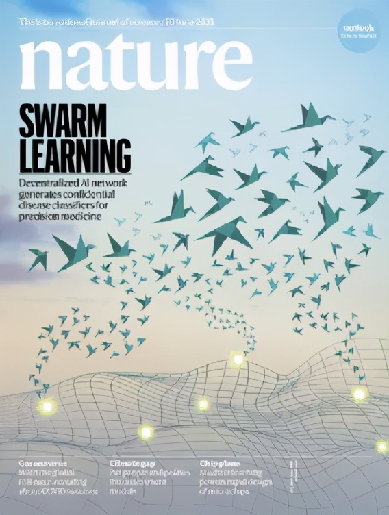 《自然》（20210610出版）一周论文导读