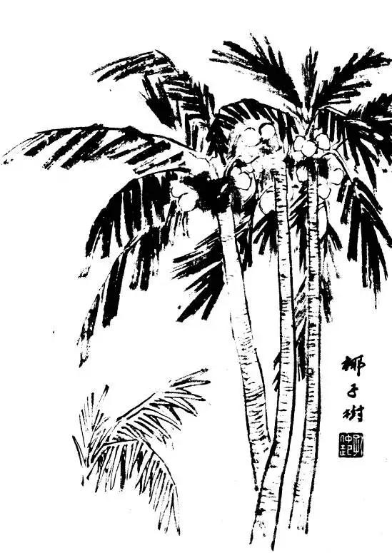 树的画法与表现技巧,树简单素描画