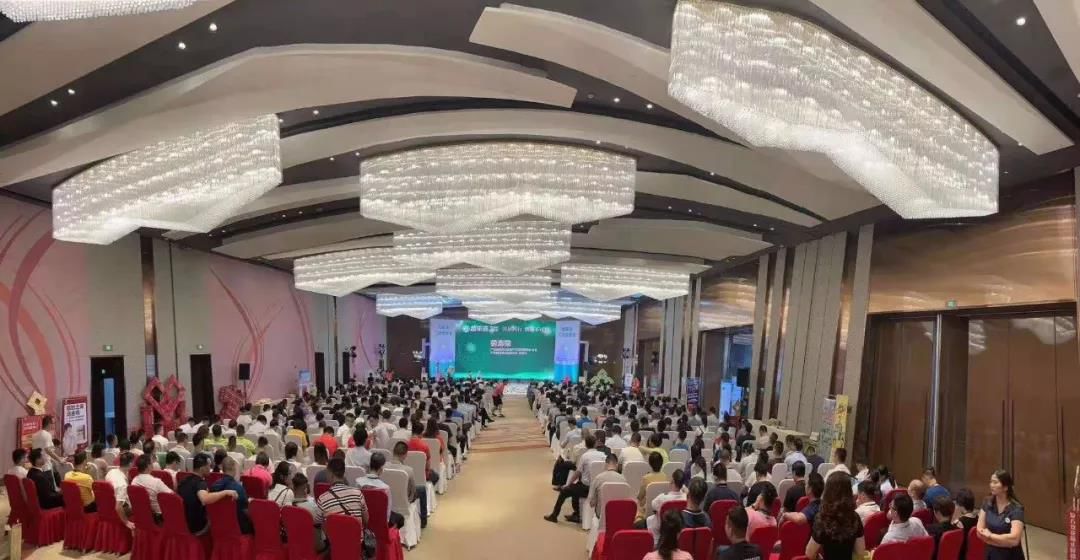 气血和珍软胶囊,气血和国货专场