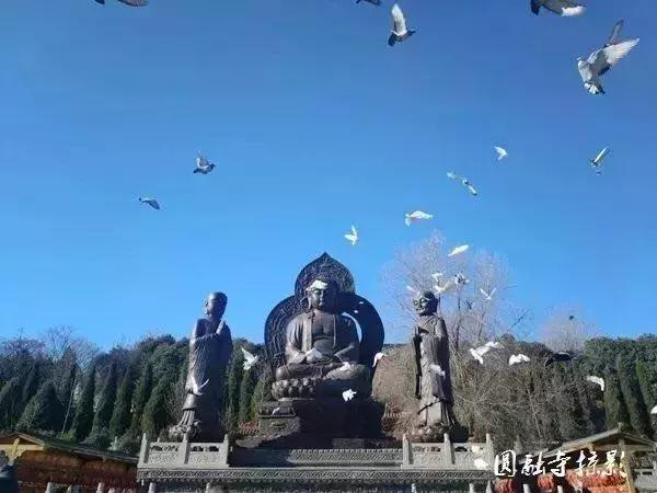 在河南这11处佛门圣地,在河南这11处佛门胜地