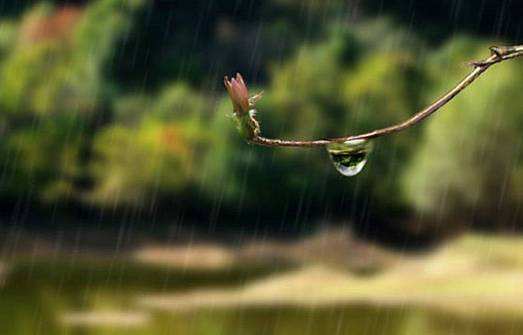 抓住最后的夏日,抓住最后的夏天时光