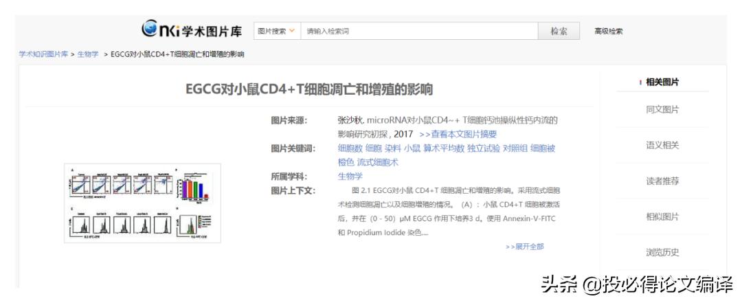 文献检索工具主要有以下几种类型,文献检索的搜索技巧