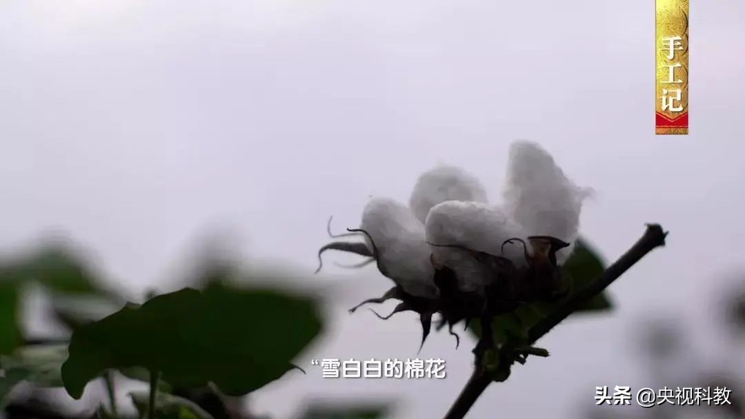 中国影像方志|嘉祥：儒学兴盛孝道传家鼓吹乐气贯长虹石雕精妙鲁锦针法严密水煎包味美