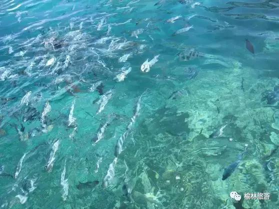 榆林直飞越南航班 (陕西榆林直飞越南航班)