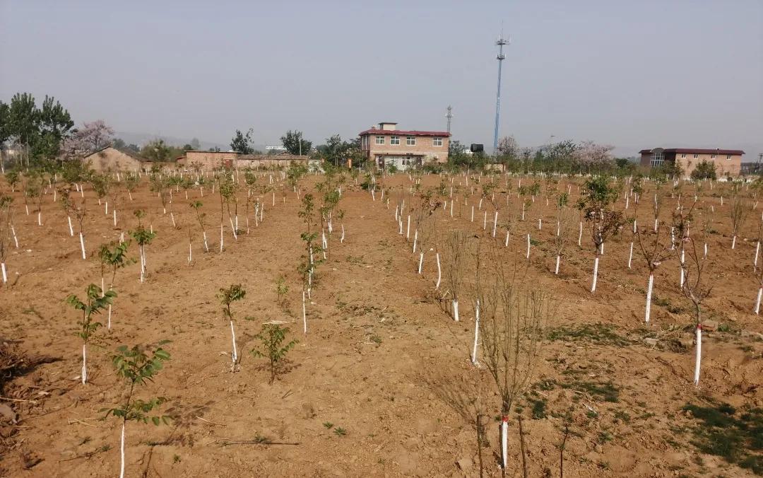 峰峰矿区哪个乡镇最好,峰峰美丽乡村都有哪些