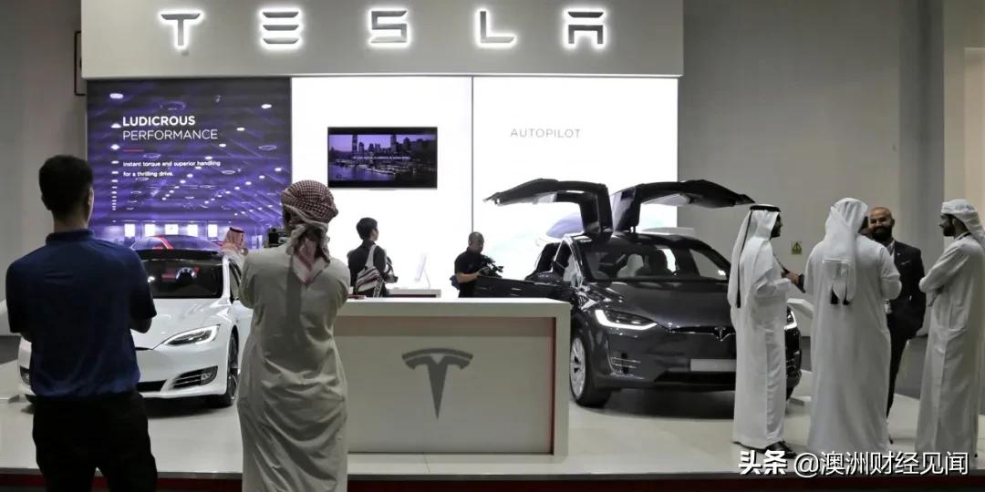 沙特对埃及石油的看法,沙特对红海危机的态度