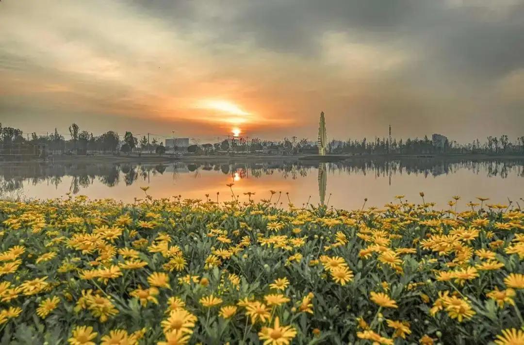 聚产成势！来“康康”郫都答卷