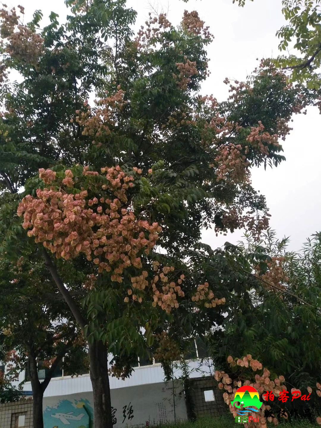 天水机场航班最新时刻表,天水机场是民用机场吗