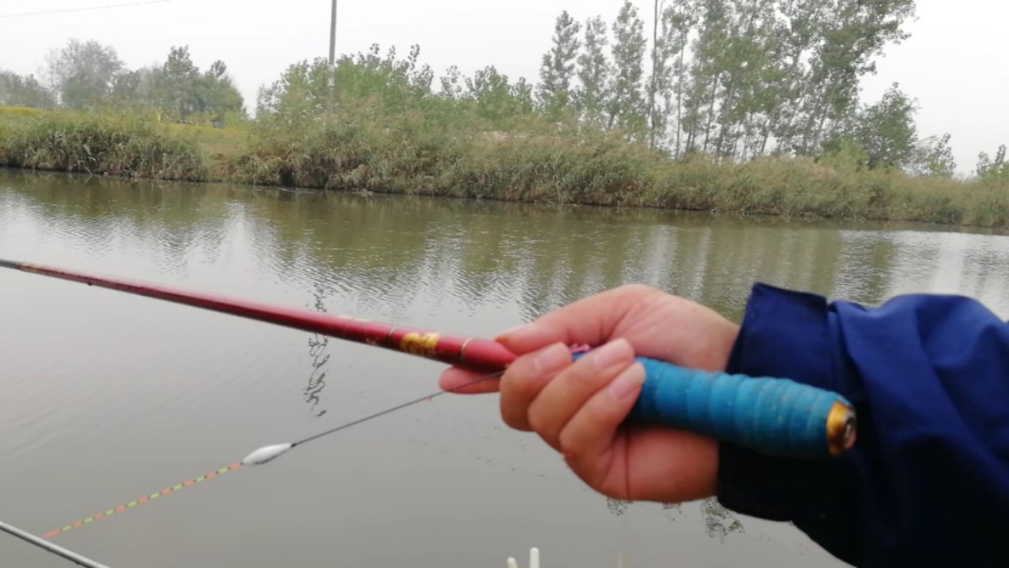 天气冷鱼口轻怎么调漂,新手钓友看完也能会的调漂技巧