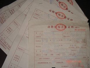 机场宠物托运办理流程,火车站办理宠物托运流程