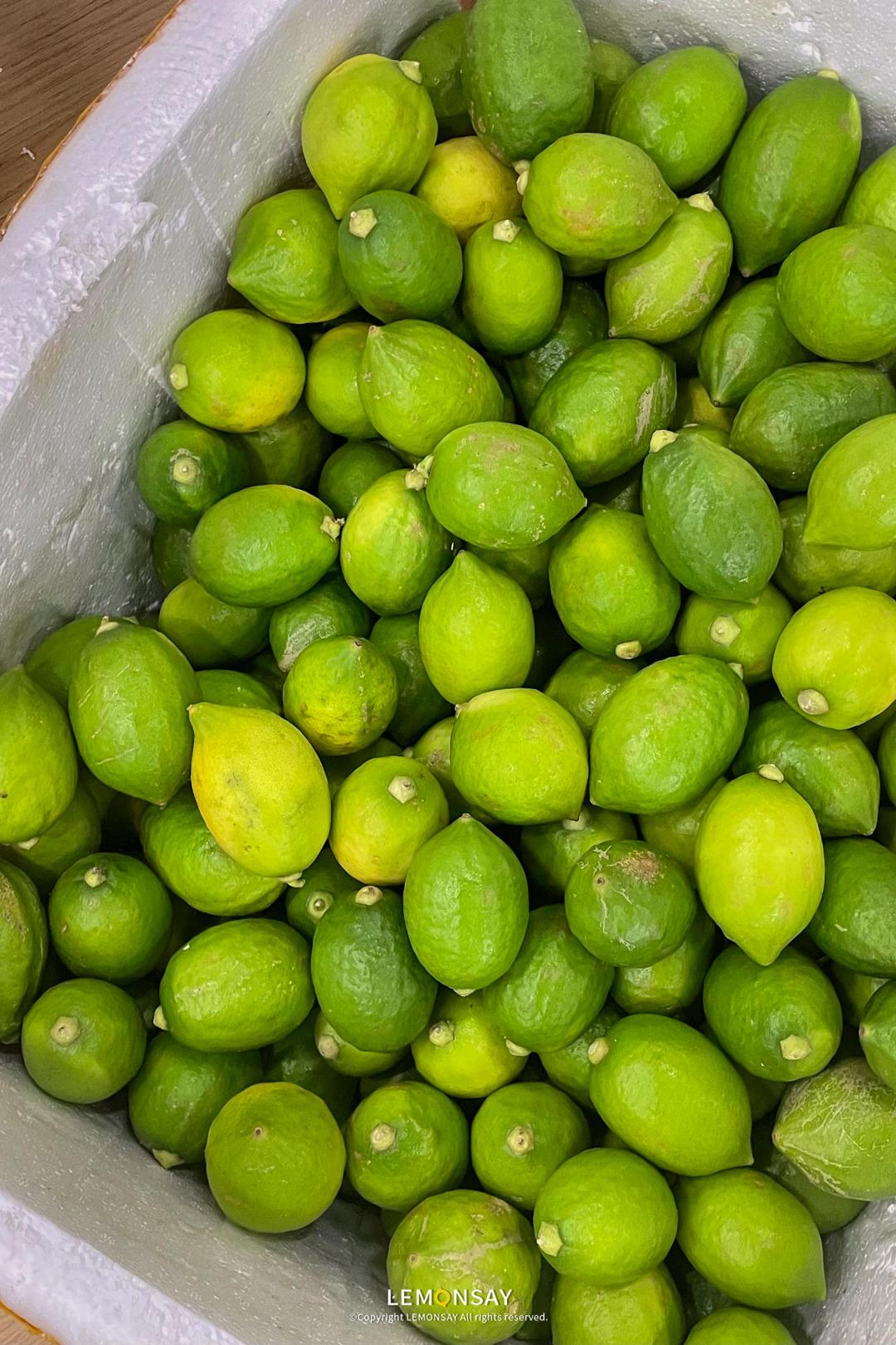 什么绿很火,什么绿绿