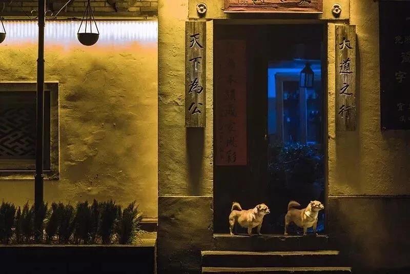 不出宁波市的旅行,奉化夏日海边游玩攻略