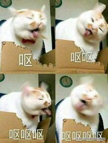 身上刻字、叫主人、拍裸照……会精神控制的不良PUA到底多可怕？