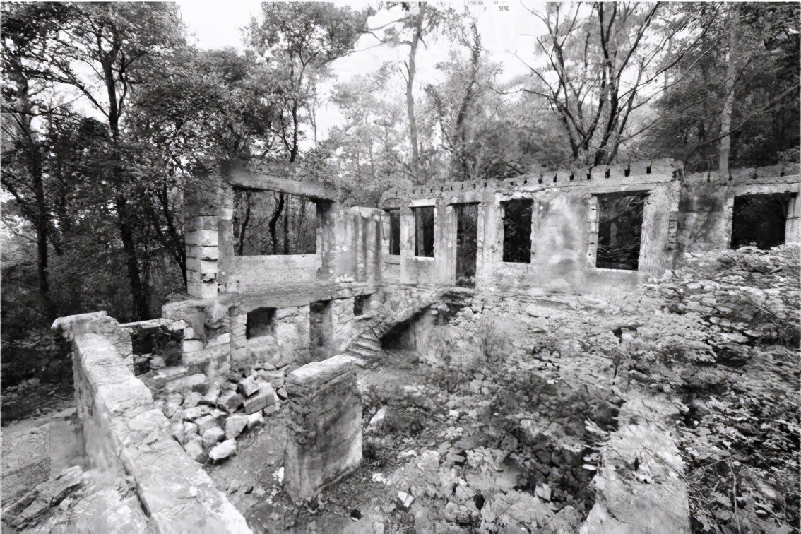 84年前紫金山那场惨烈的保卫战