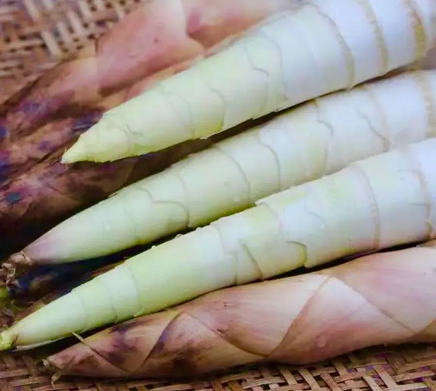 北京大叔油焖春笋,东北大厨春笋炖排骨