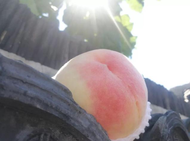 阳山水蜜桃的特点就是汁水十足,真正的浓缩精华