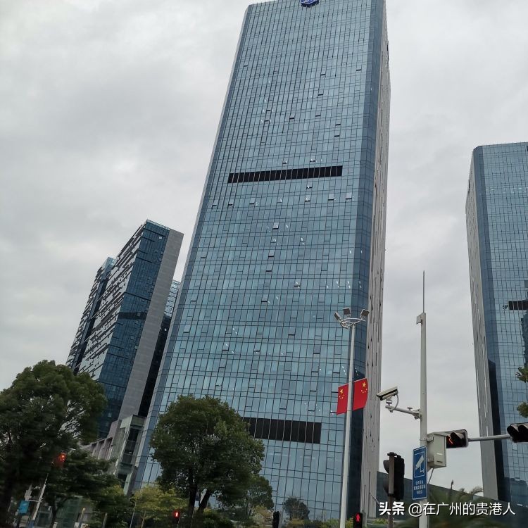 南海顺德为什么并入佛山,南海新区撤区影响