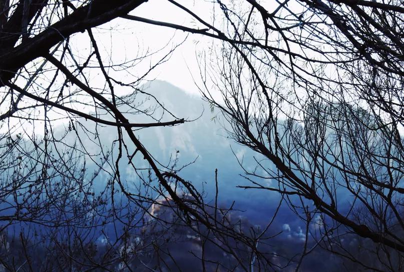 80后的童年回忆小院,8090年代的美丽小院