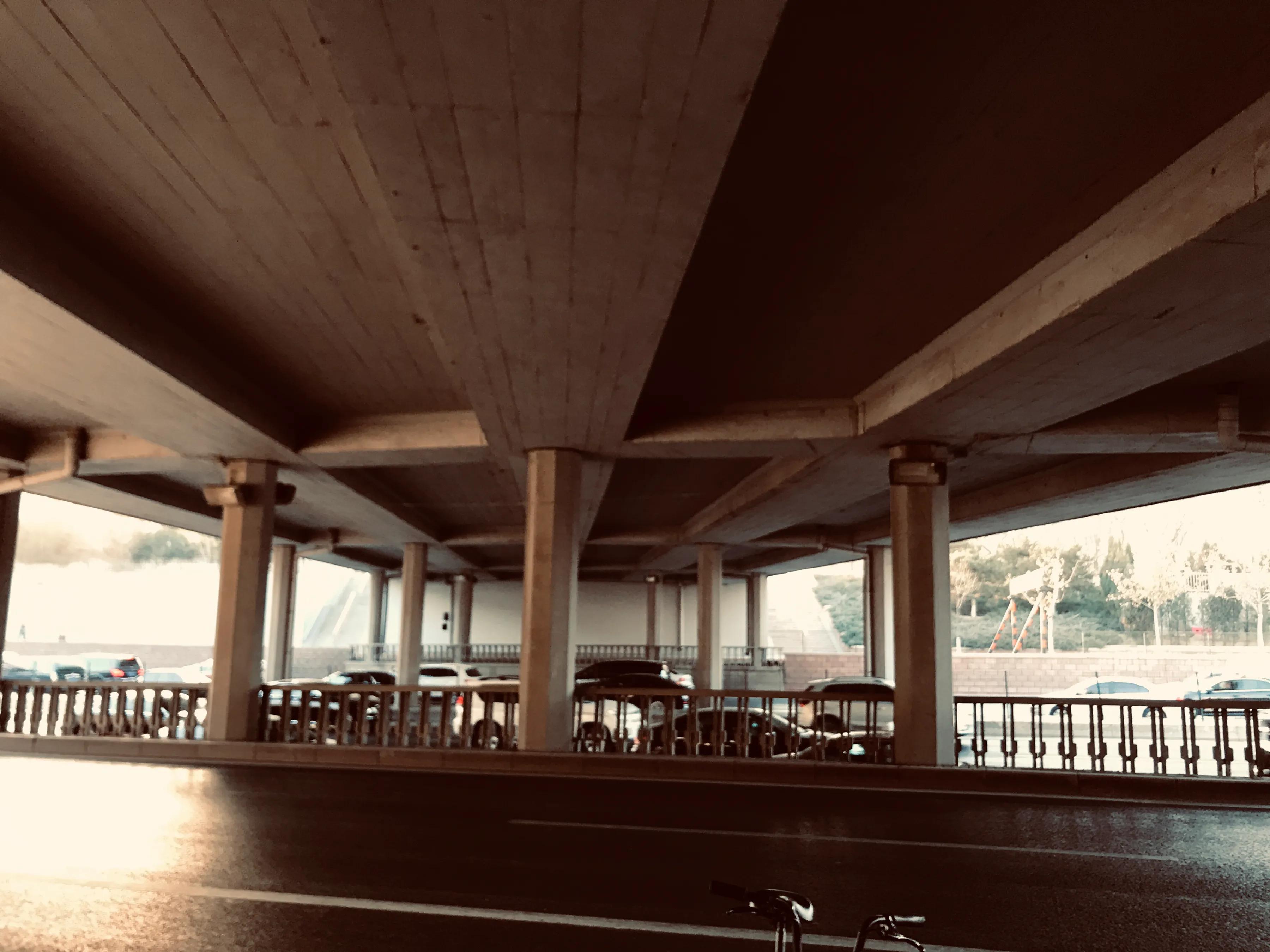 美好的定义,美的定义是什么