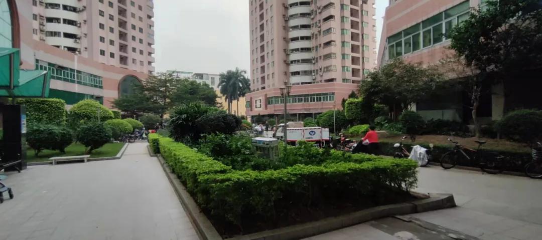番禺市桥的老破小,市桥老破小