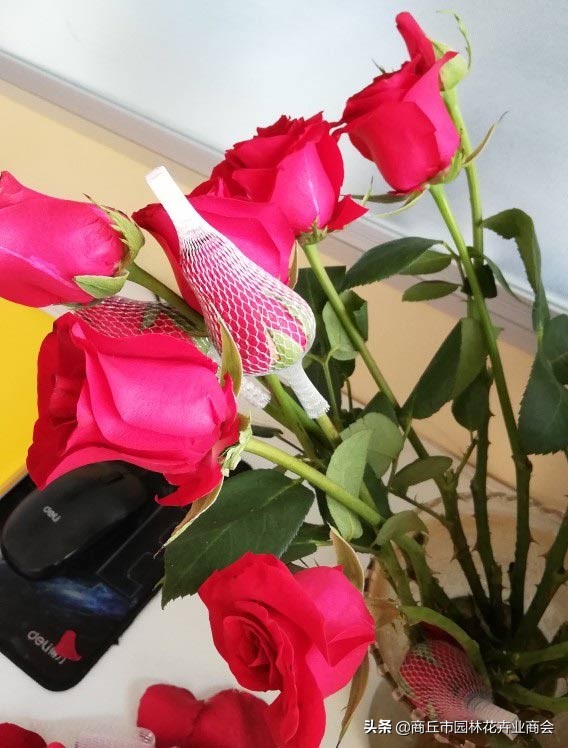 鲜花店卖的玫瑰,鲜花店卖玫瑰花