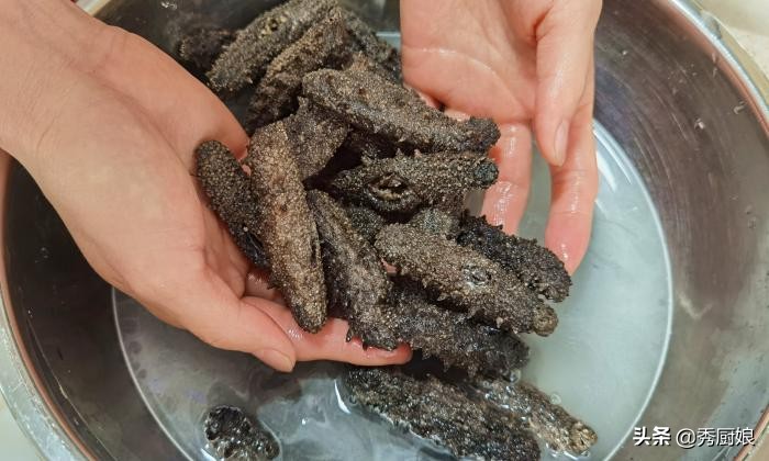 海参泡发正确流程的做法,海参泡发的正确步骤和做法视频
