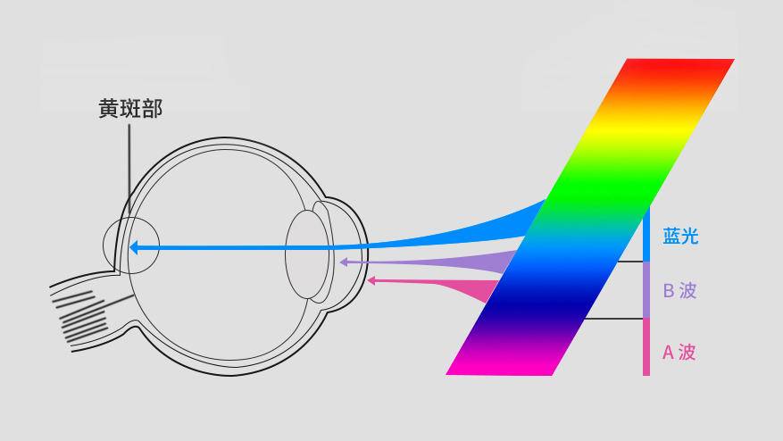 防蓝光护眼的正确方法,爱德华医生护眼灯央视曝光
