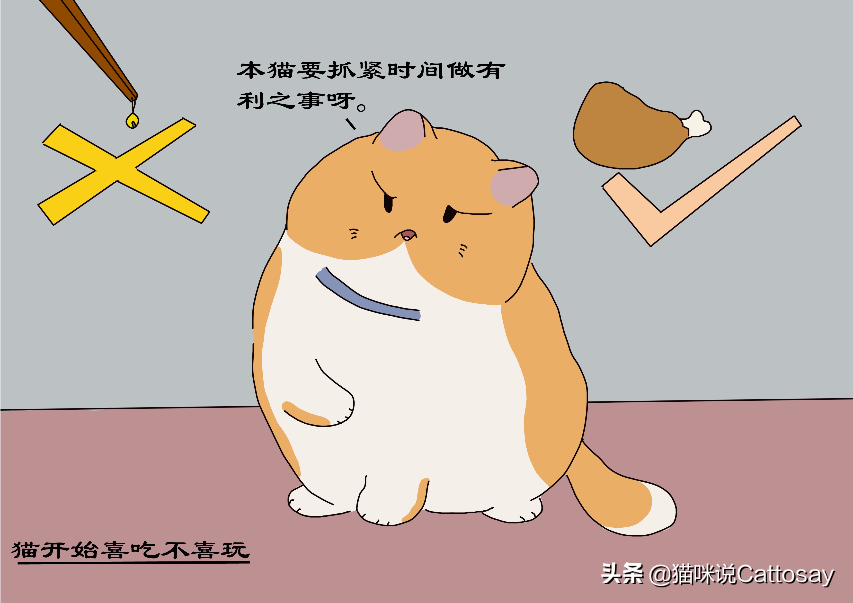 启禀铲屎官：您的猫跑了，猫想跑时会有3个细节
