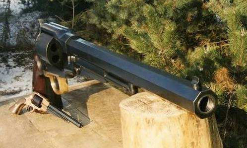 4把强力*伤杀**的枪，能撕碎犀牛的*鹰沙**排最后，第一到底有多恐怖？