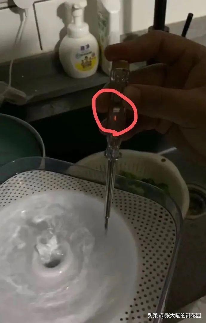 宠物饮水机漏电又爆炸？怎样才能选到安全放心的宠物饮水机？