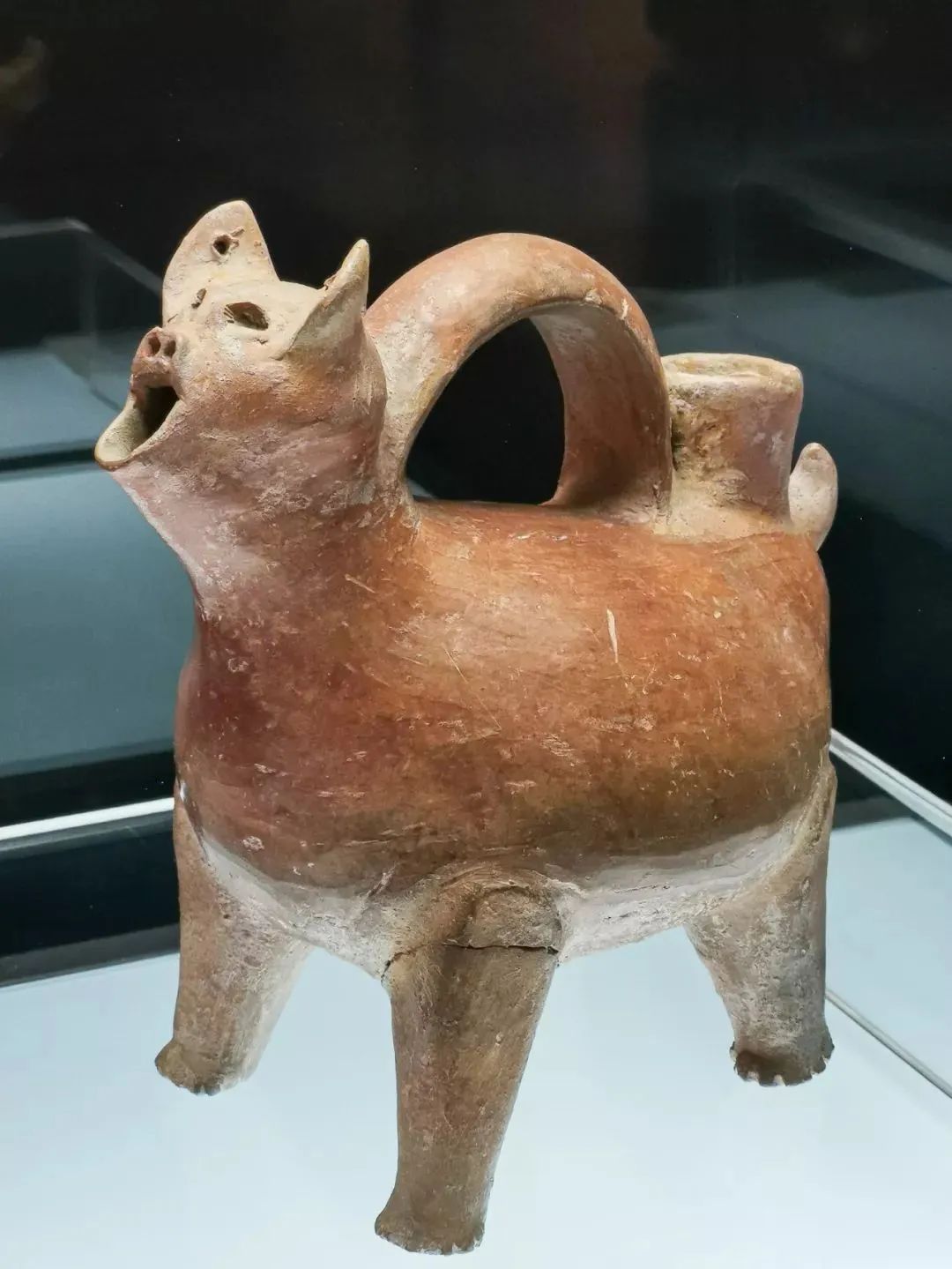 济南遛娃室内去哪里玩,济南值得玩的室内场馆