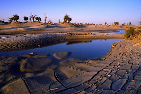 塔里木河出现断流现象的原因,塔里木河为啥断流